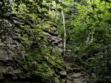 einsiedlerpfad01-1000