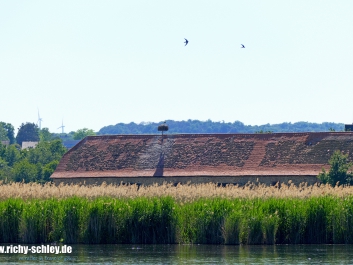 RAW-volle-aufloesung-lumix-fz10002-stoerche