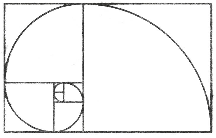 fibonacci-spirale-sw fibonacci-spirale-sw